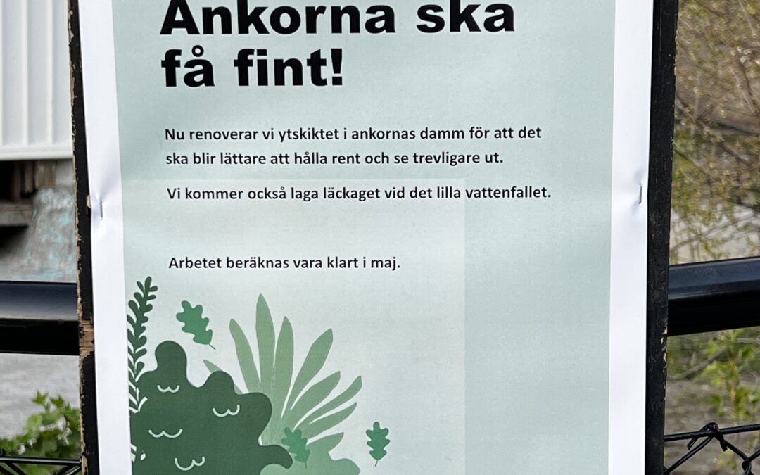 Ankdammen Slottskogen